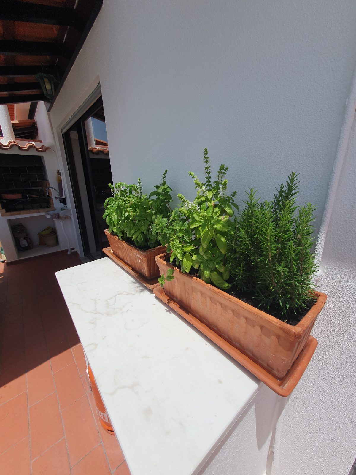 The herb planters