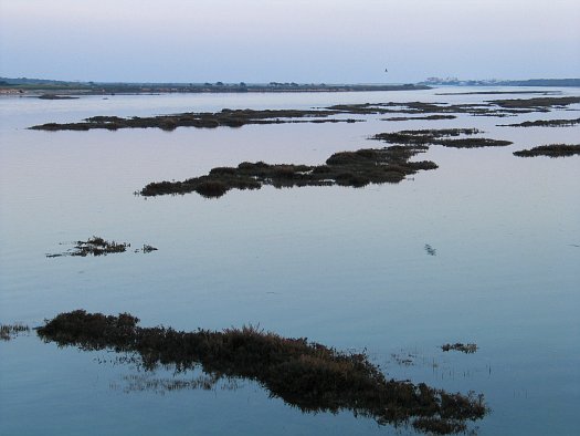 Lagoon paddling at low tide
