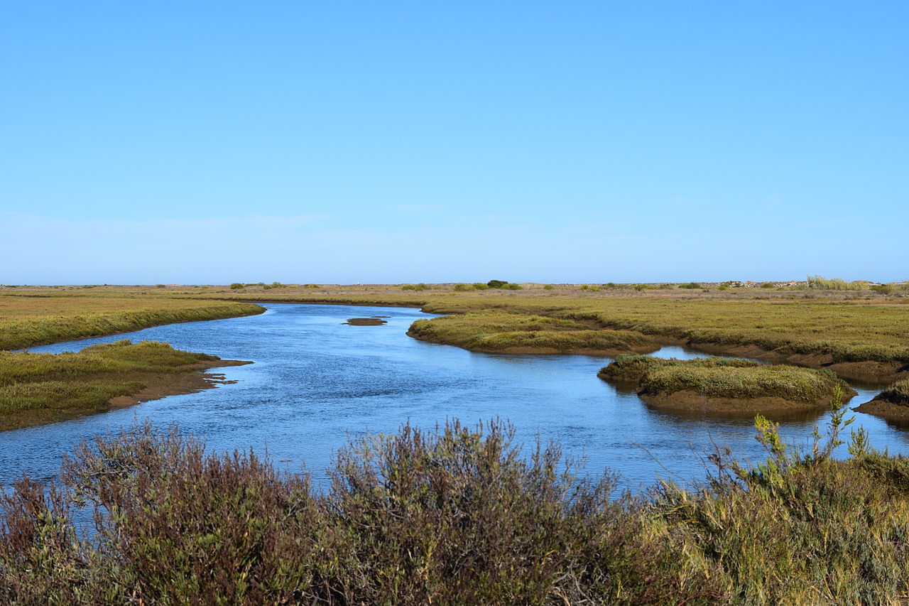 Kayak the Ria Formosa